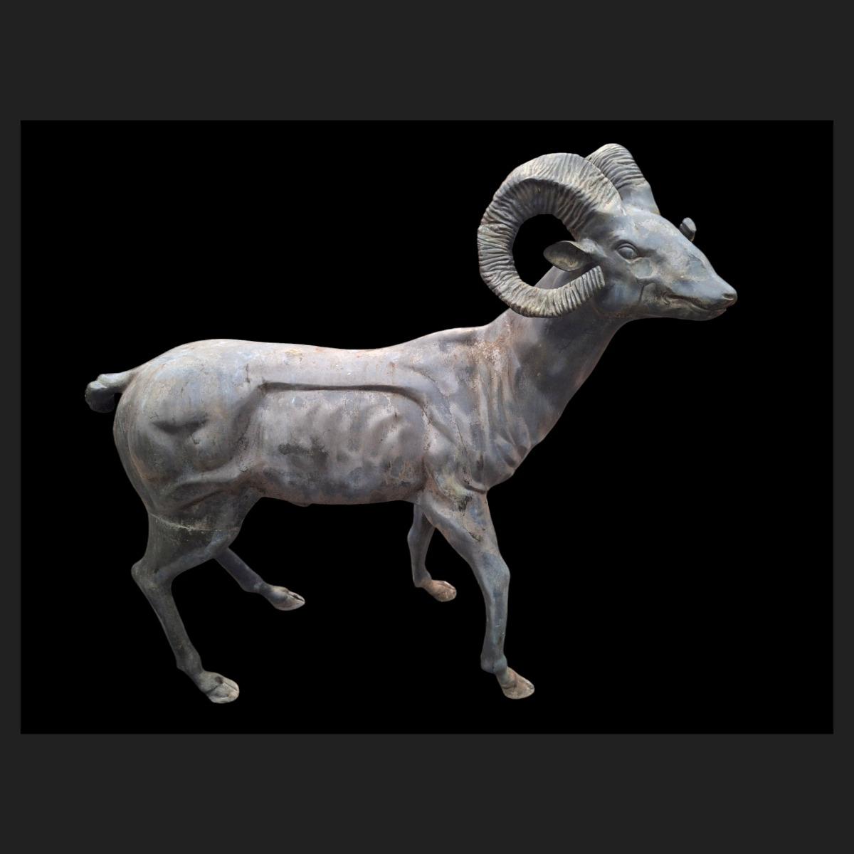 Big Horn sheep in bronze, life-size,