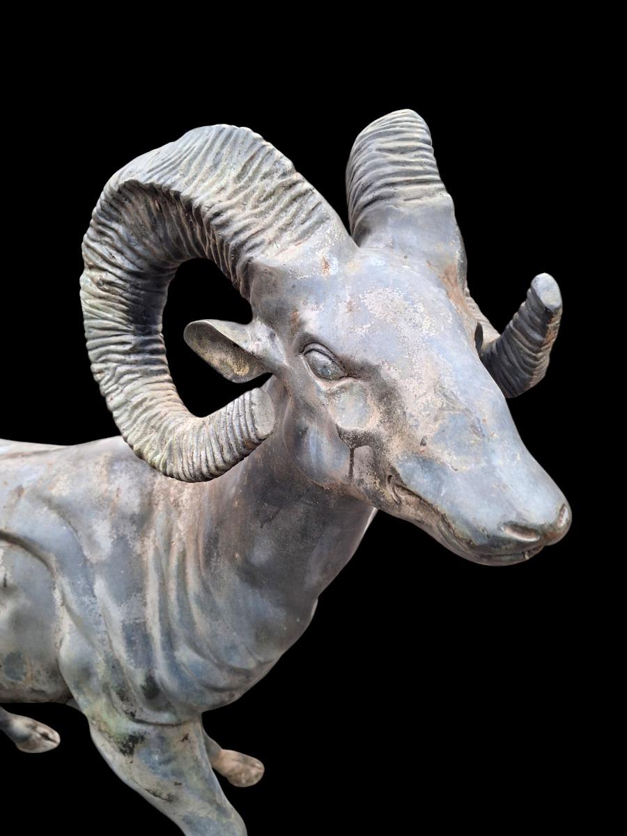 Big Horn sheep in bronze, life-size,