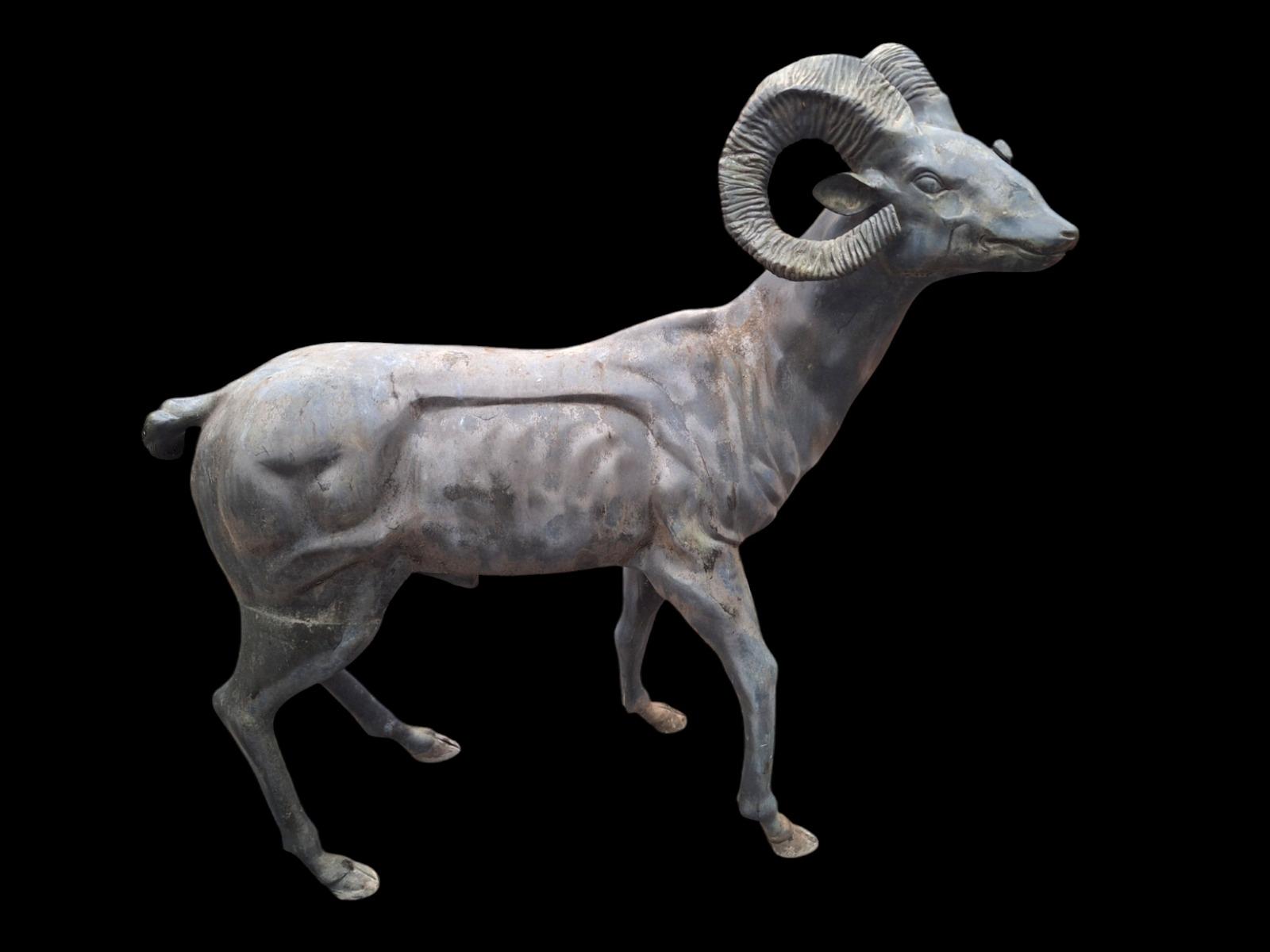 Big Horn sheep in bronze, life-size,