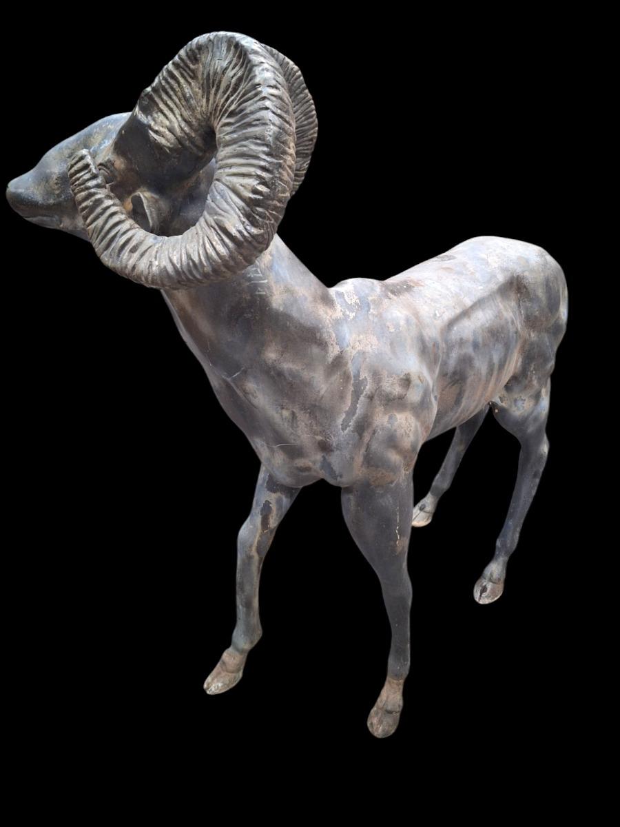 Big Horn sheep in bronze, life-size,