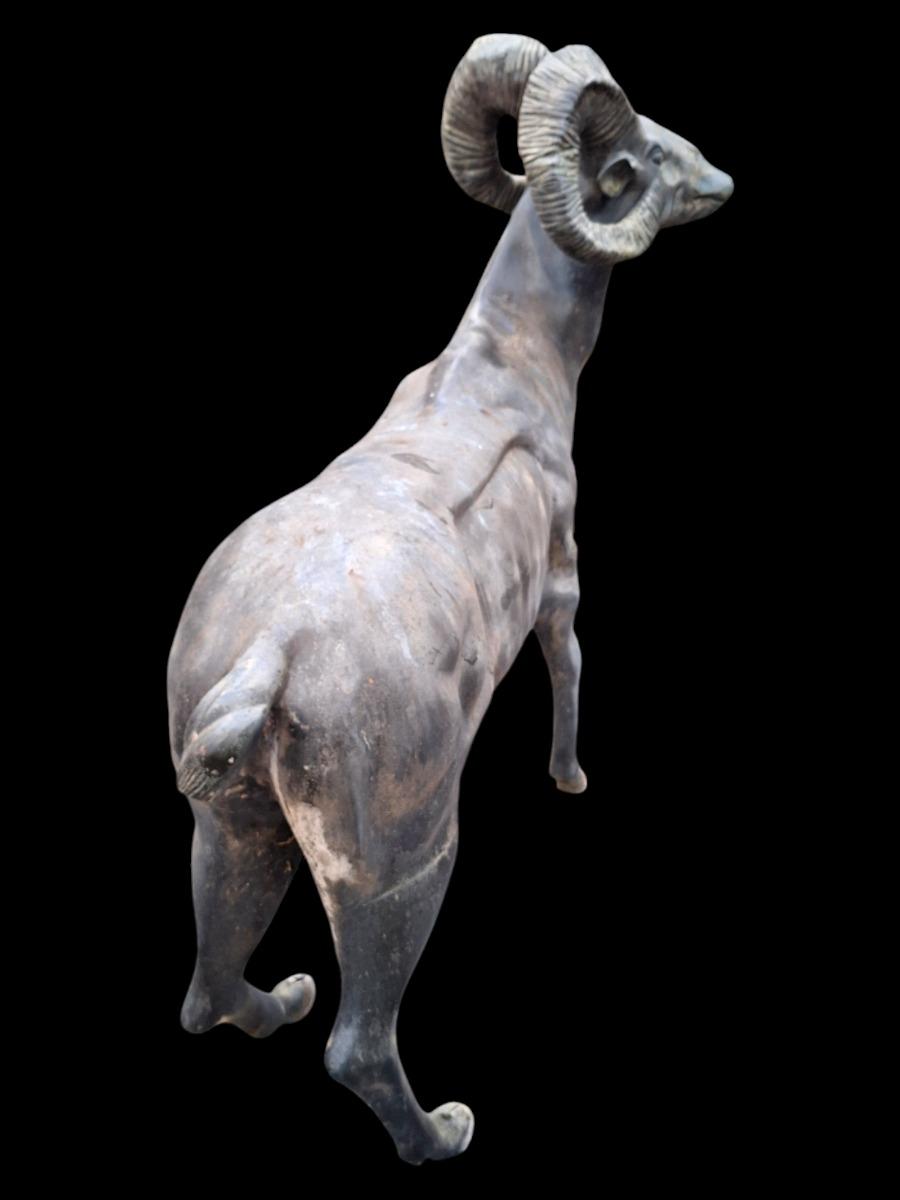 Big Horn sheep in bronze, life-size,