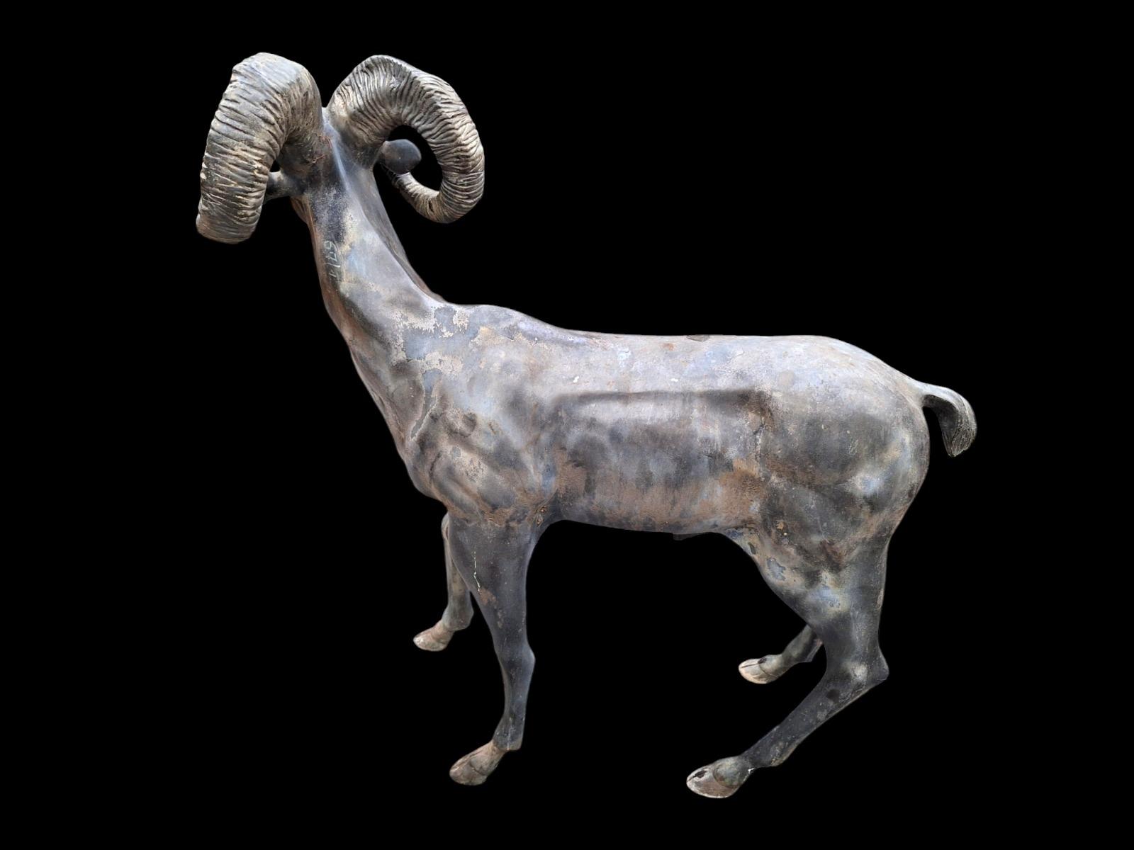 Big Horn sheep in bronze, life-size,